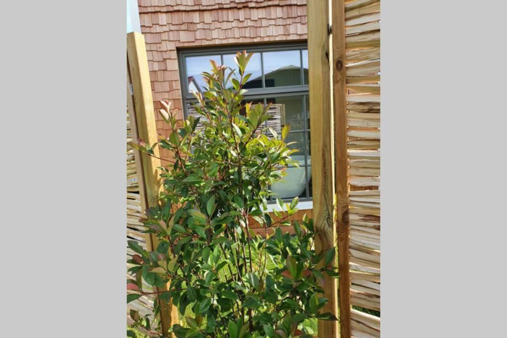 Tiny Loft Im Suedhessischen Ried Apartment Trebur Exterior foto